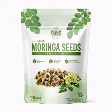 Moringa Seeds